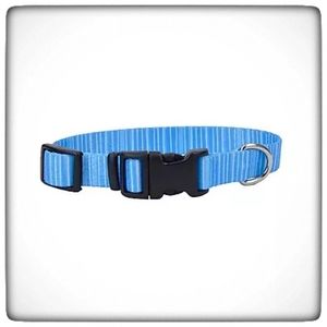 Retriever 5/8 in. x 12-18 in. Adjustable Striped Fashion Collar
